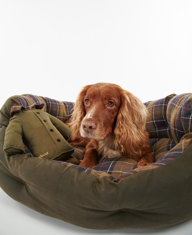  Barbour Ceket Köpek Oyuncağı