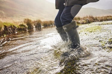  Barbour Kadın Bede Wellington Çizme