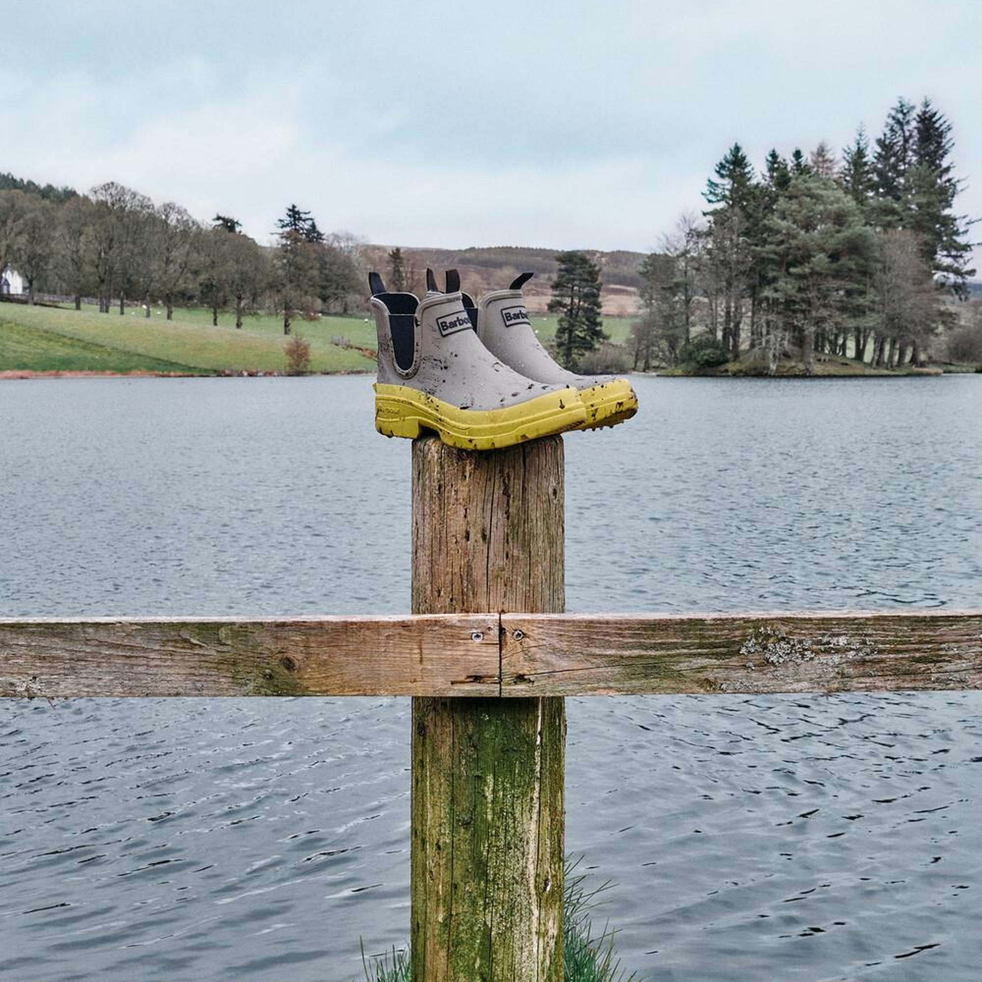 Barbour Nimbus Chelsea Bot