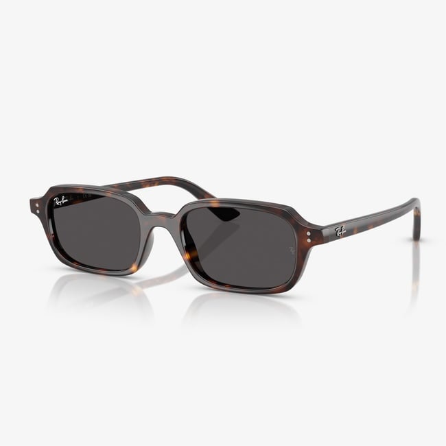  Ray-Ban RB4455 Unisex Kahverengi Güneş Gözlüğü