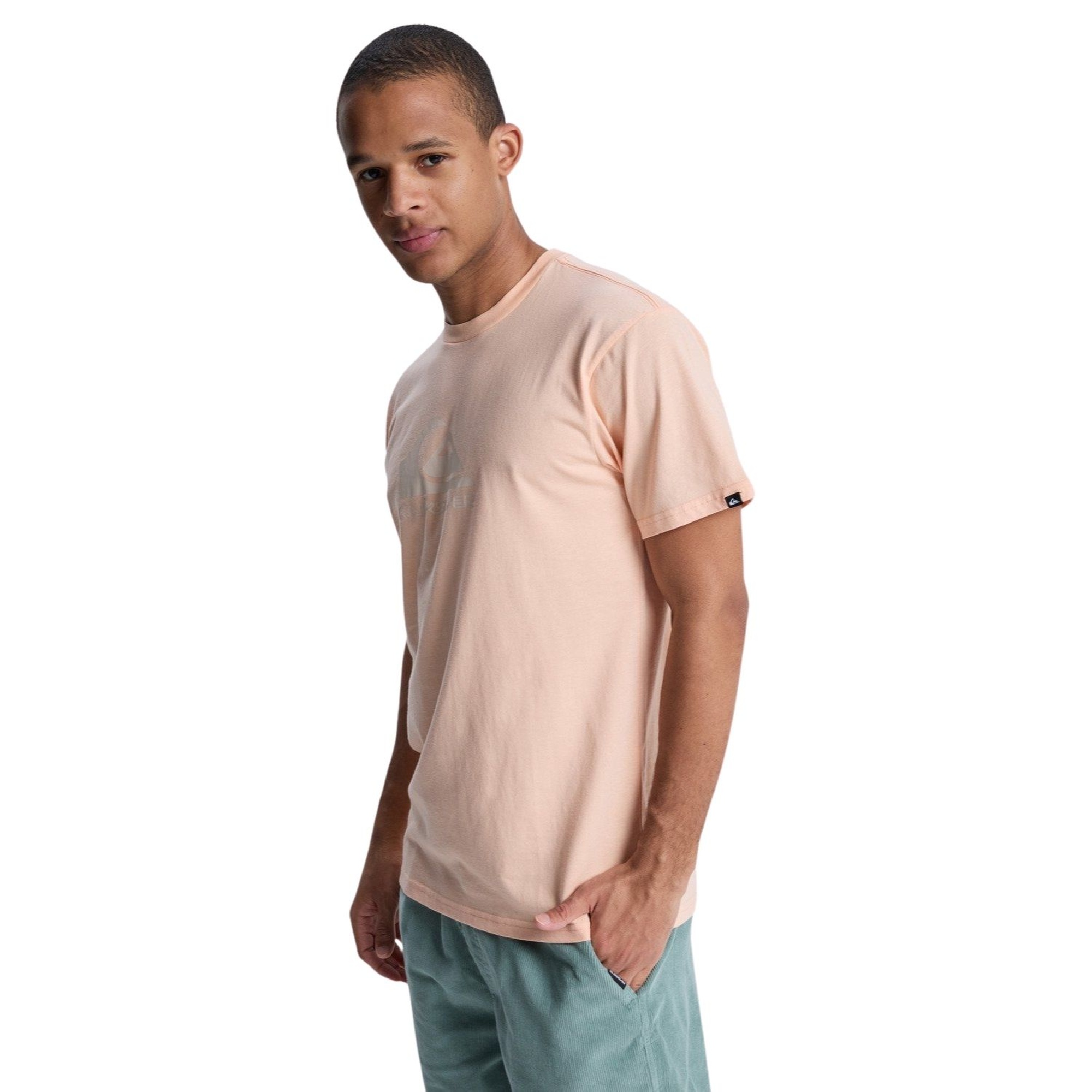 Quiksilver Ev Comp Logo Erkek Tişört