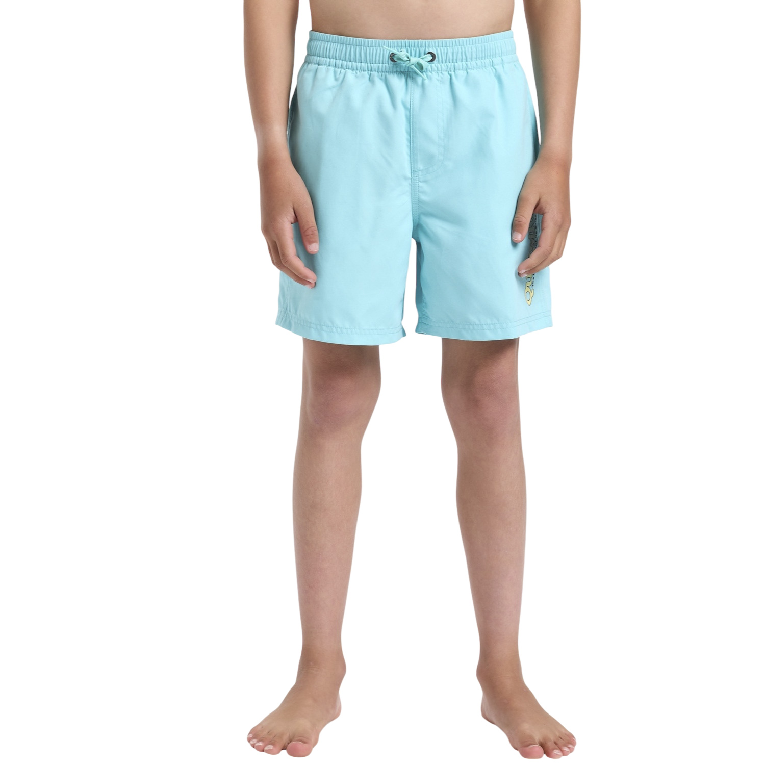  Quiksilver Spl Fineline Yth 14 Erkek Çocuk Mavi Volley Short
