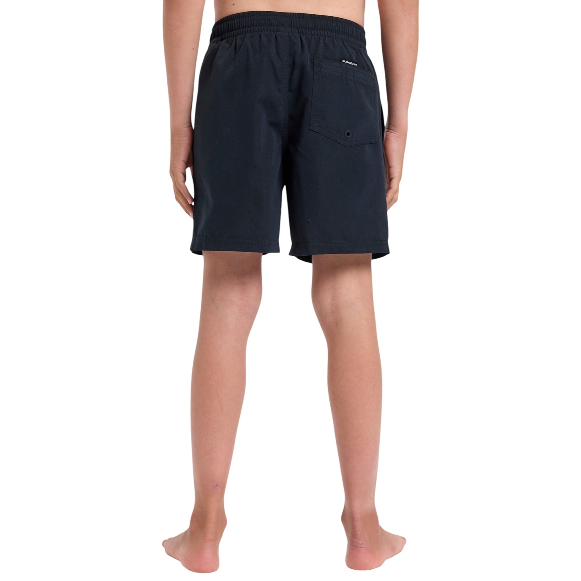 Quiksilver Spl Fineline Yth 14 Erkek Çocuk Siyah Volley Short