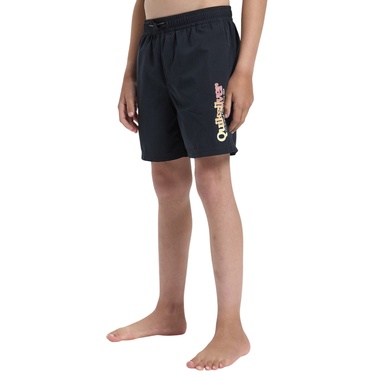  Quiksilver Spl Fineline Yth 14 Erkek Çocuk Siyah Volley Short