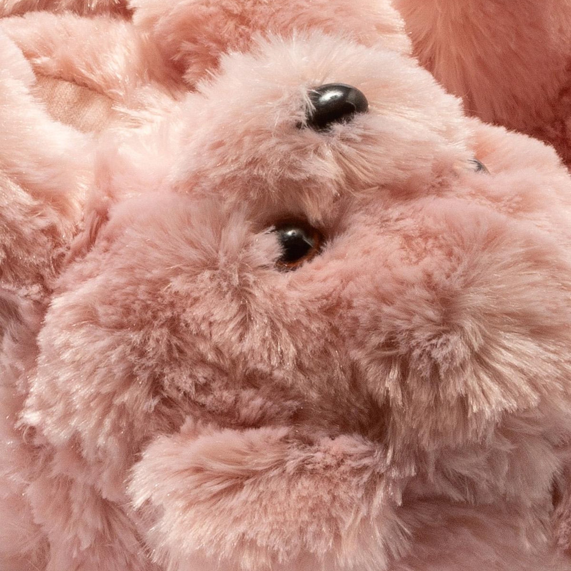 Teddy Kadın Hayvanlı Panduf Gül Kurusu 36/41