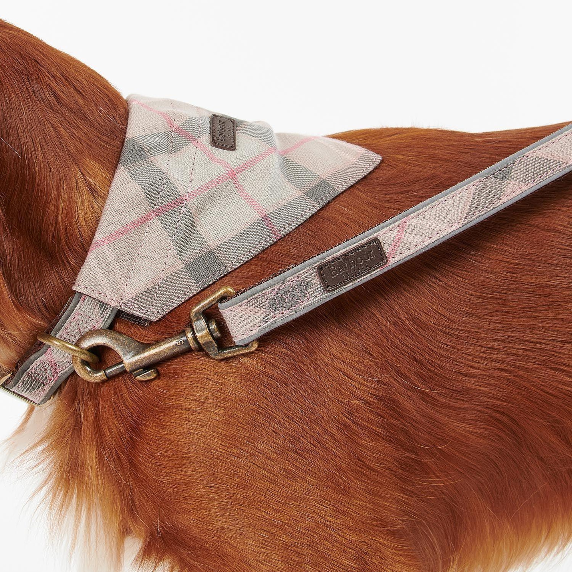 Barbour Reflective Tartan Köpek Tasma Kayışı