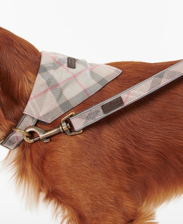  Barbour Reflective Tartan Köpek Tasma Kayışı