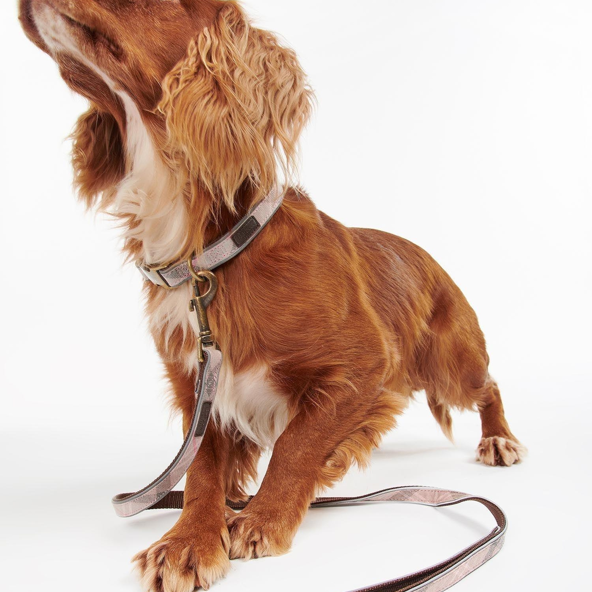 Barbour Reflective Tartan Köpek Tasma Kayışı