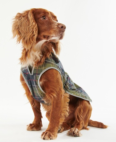  Barbour Tartan Waterproof Köpek Kıyafeti