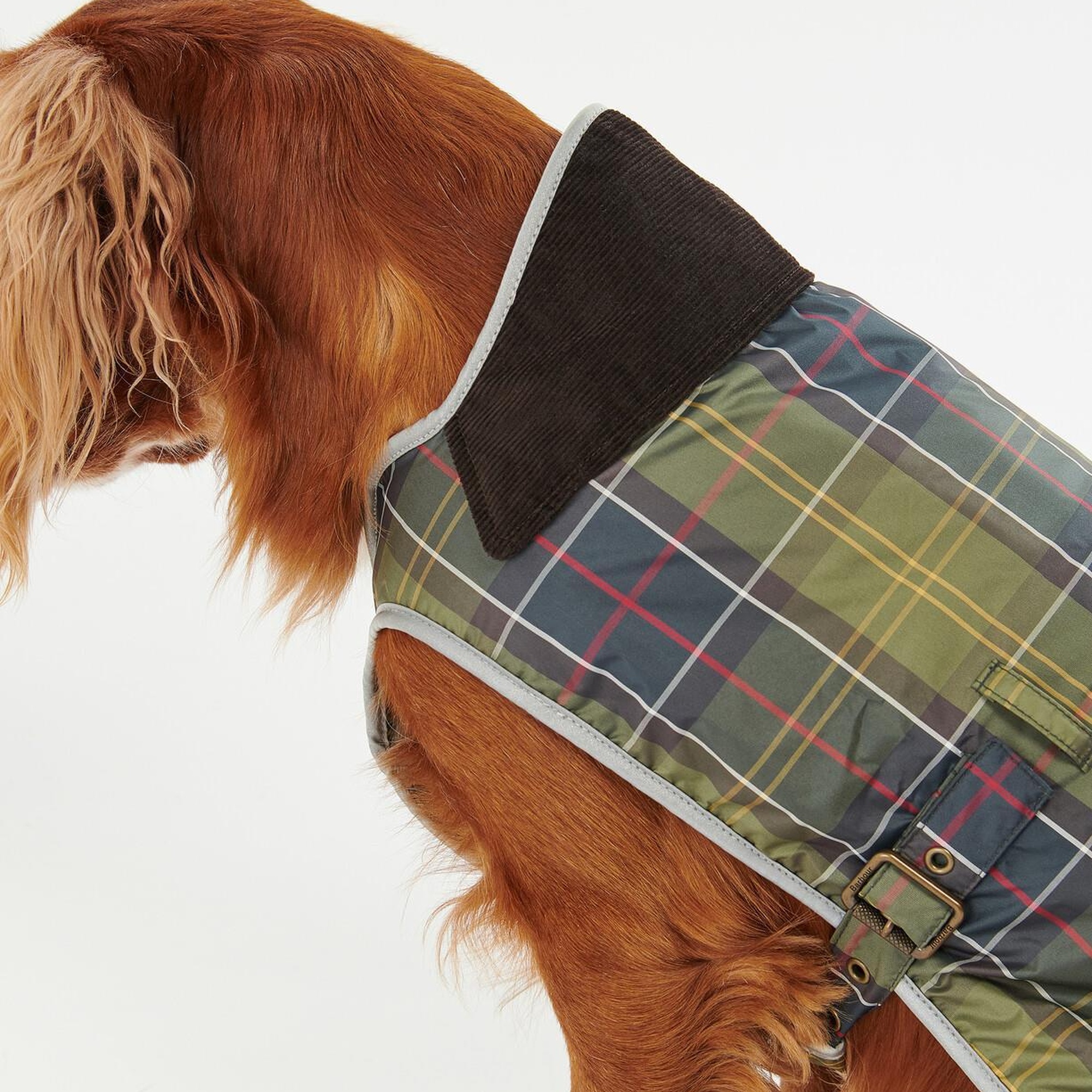 Barbour Tartan Waterproof Köpek Kıyafeti