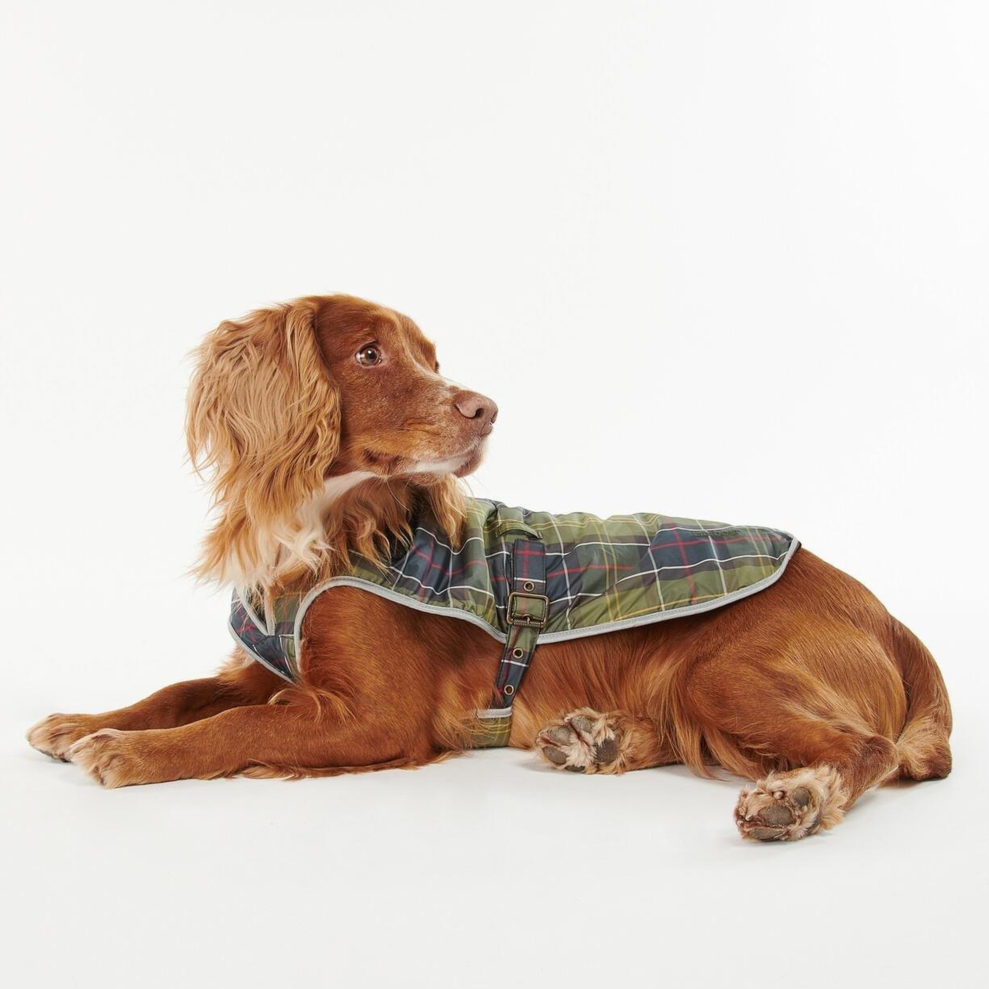 Barbour Tartan Waterproof Köpek Kıyafeti