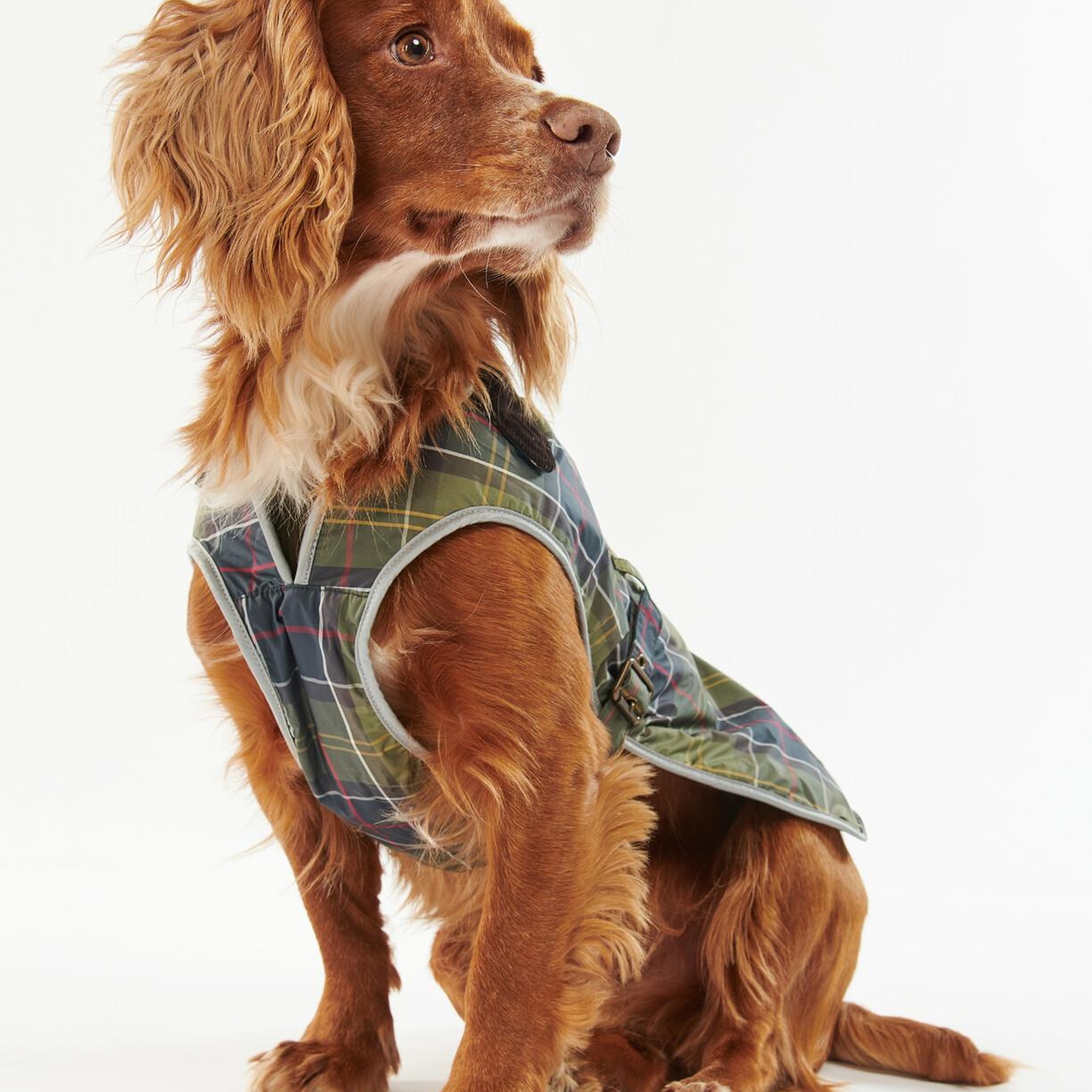 Barbour Tartan Waterproof Köpek Kıyafeti