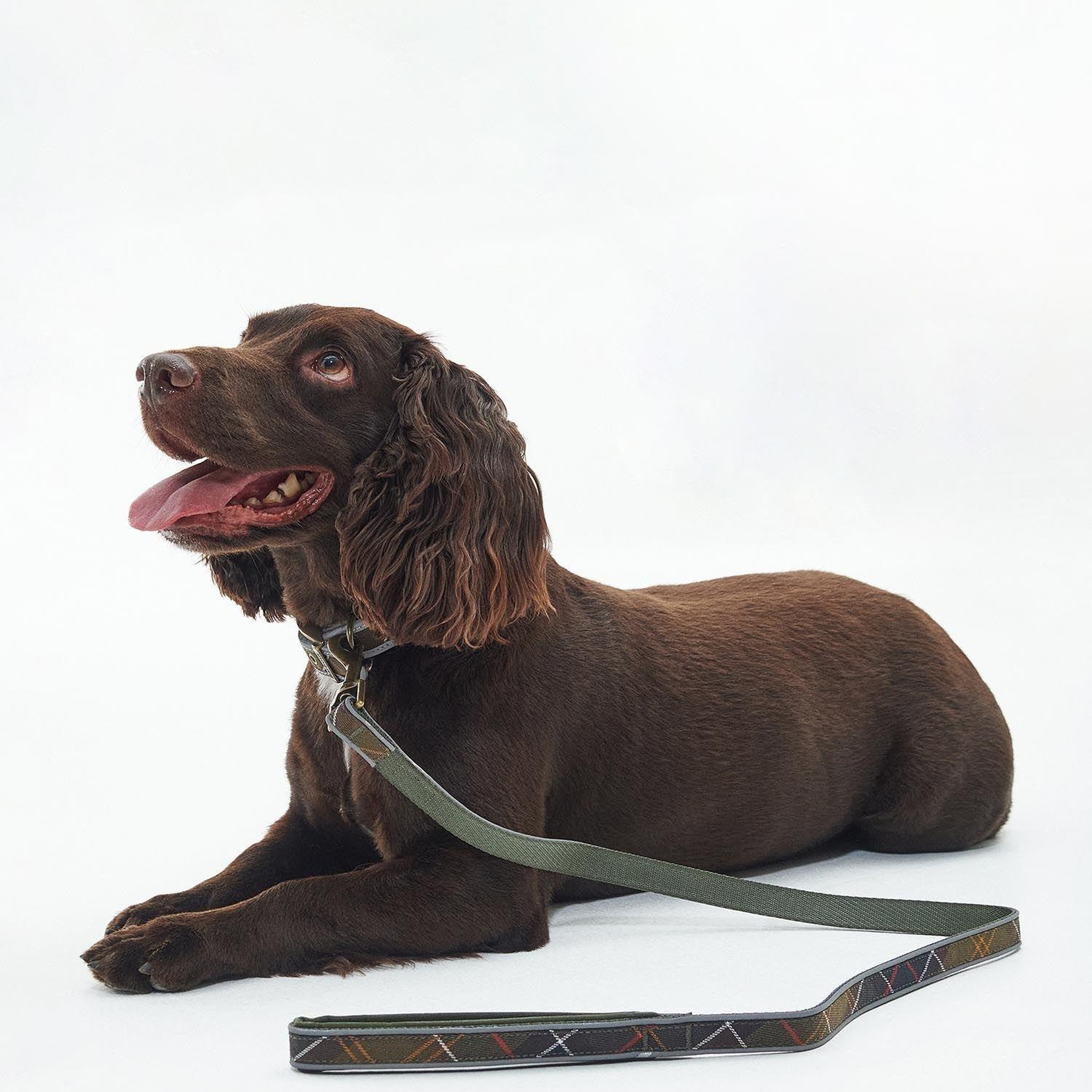 Barbour Reflective Tartan Comfort Köpek Tasması