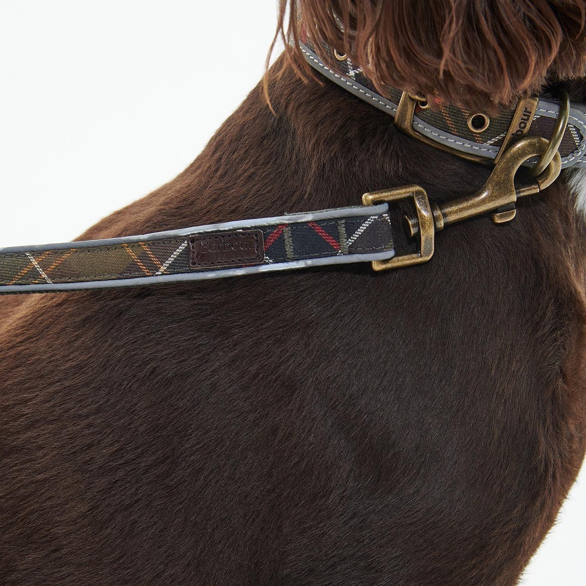 Barbour Reflective Tartan Comfort Köpek Tasması