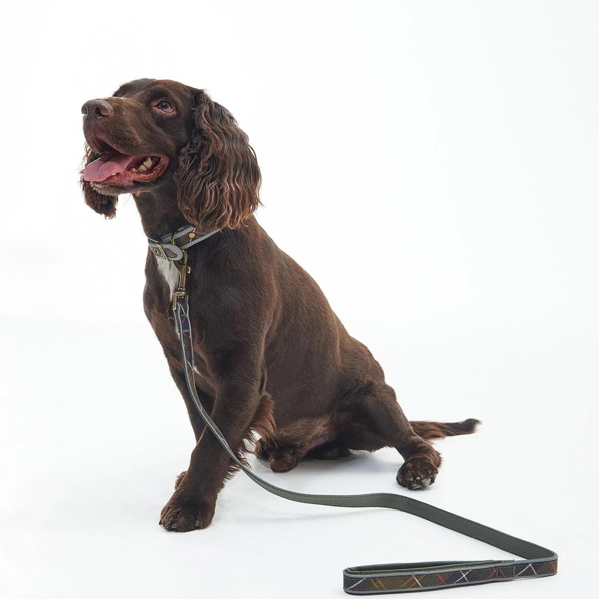 Barbour Reflective Tartan Comfort Köpek Tasması