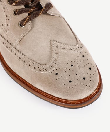  YARGICI Oxford Bağlı Bot