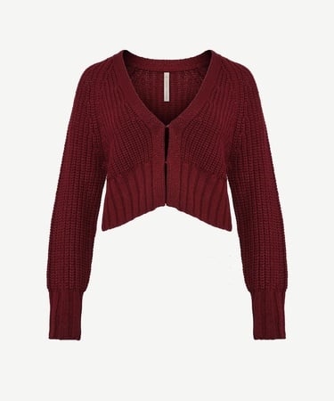  YARGICI V-Yakalı Hırka