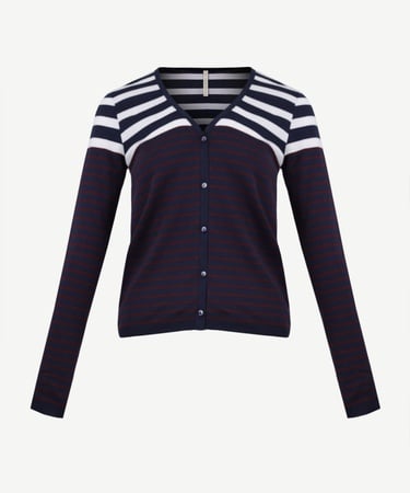  YARGICI V Yaka Hırka