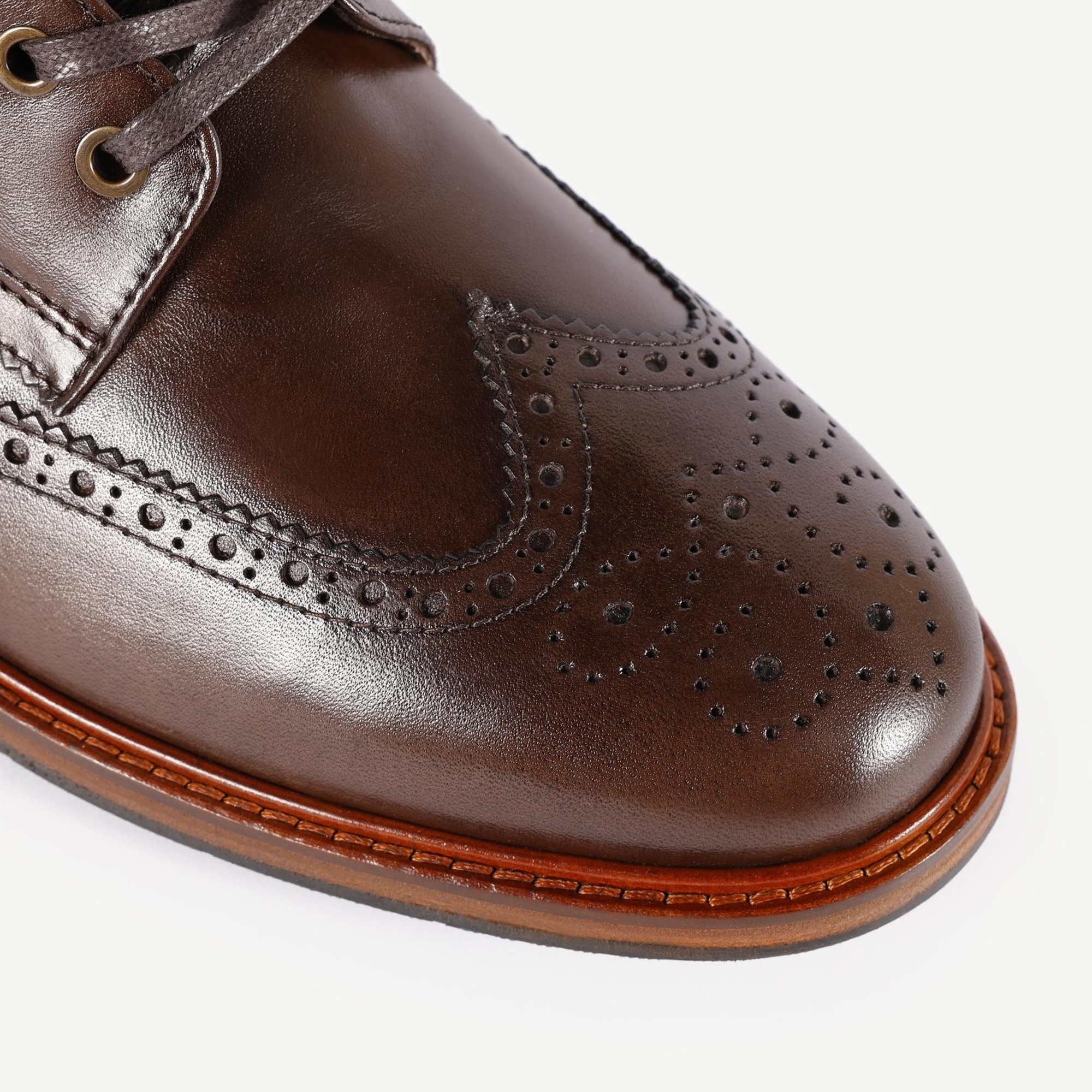 YARGICI Oxford Bağlı Bot