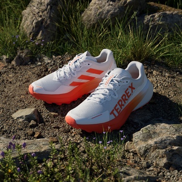  adidas Terrex Agravic 3 Arazi Kadın Beyaz Koşu Ayakkabısı