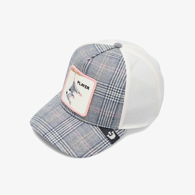  Goorin Bros Possum Unisex Lacivert Şapka