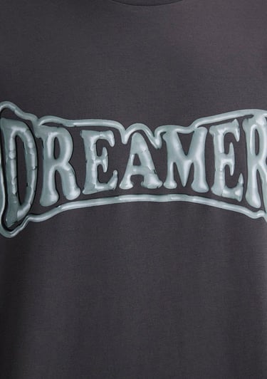  Mavi Dreamer Baskılı Gri Tişört Loose Fit / Bol Rahat Kesim 0612807-80955