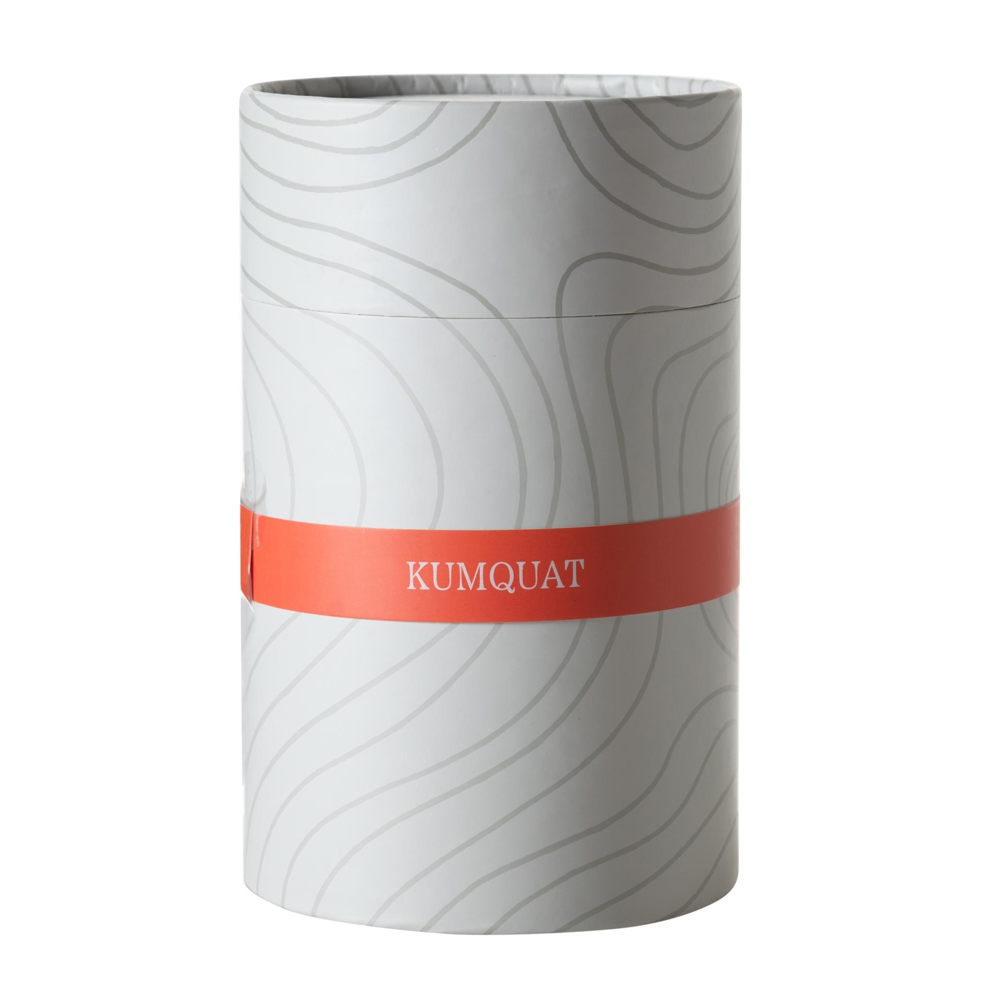 TAŞ MERCAN KUMQUAT ODA KOKUSU 500ML