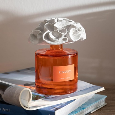  TAŞ MERCAN KUMQUAT ODA KOKUSU 500ML