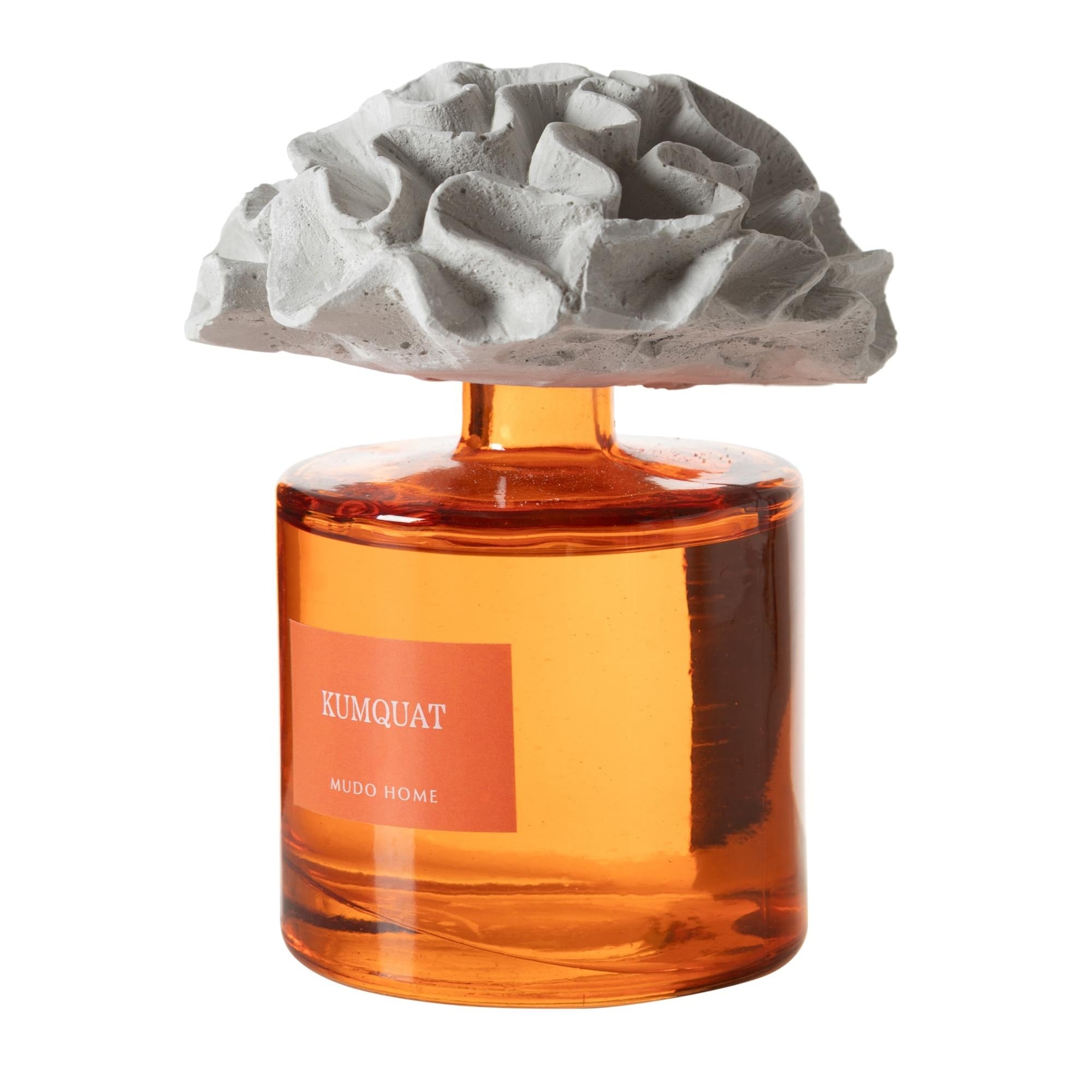 TAŞ MERCAN KUMQUAT ODA KOKUSU 500ML