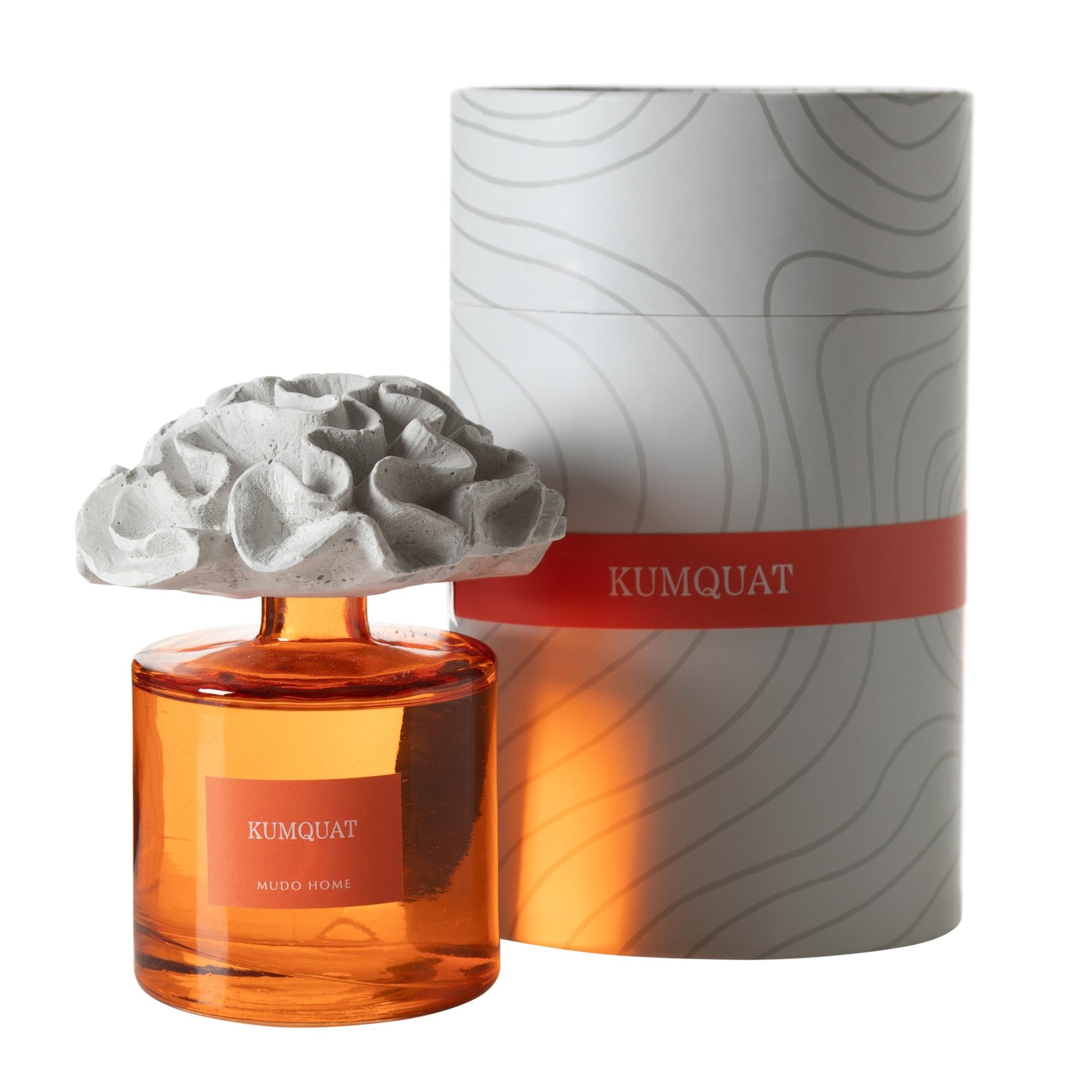 TAŞ MERCAN KUMQUAT ODA KOKUSU 500ML