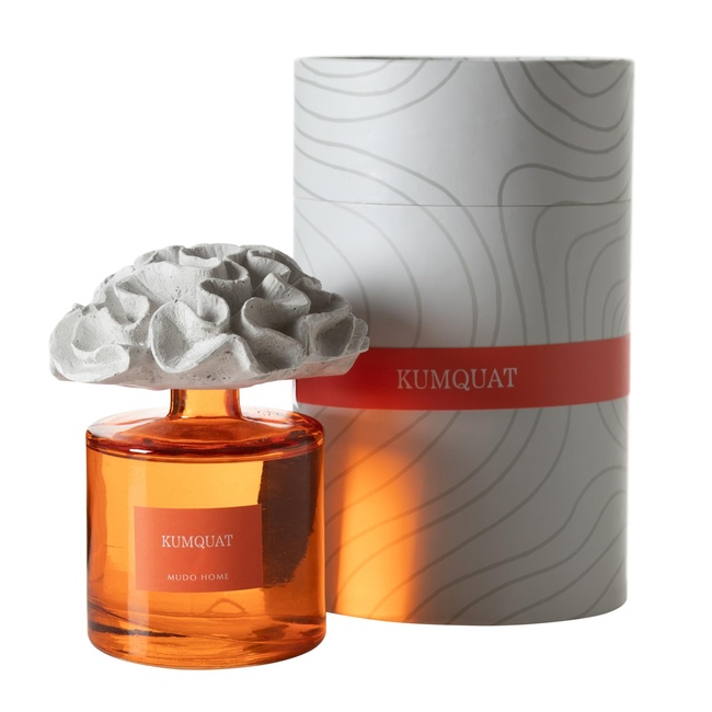  TAŞ MERCAN KUMQUAT ODA KOKUSU 500ML