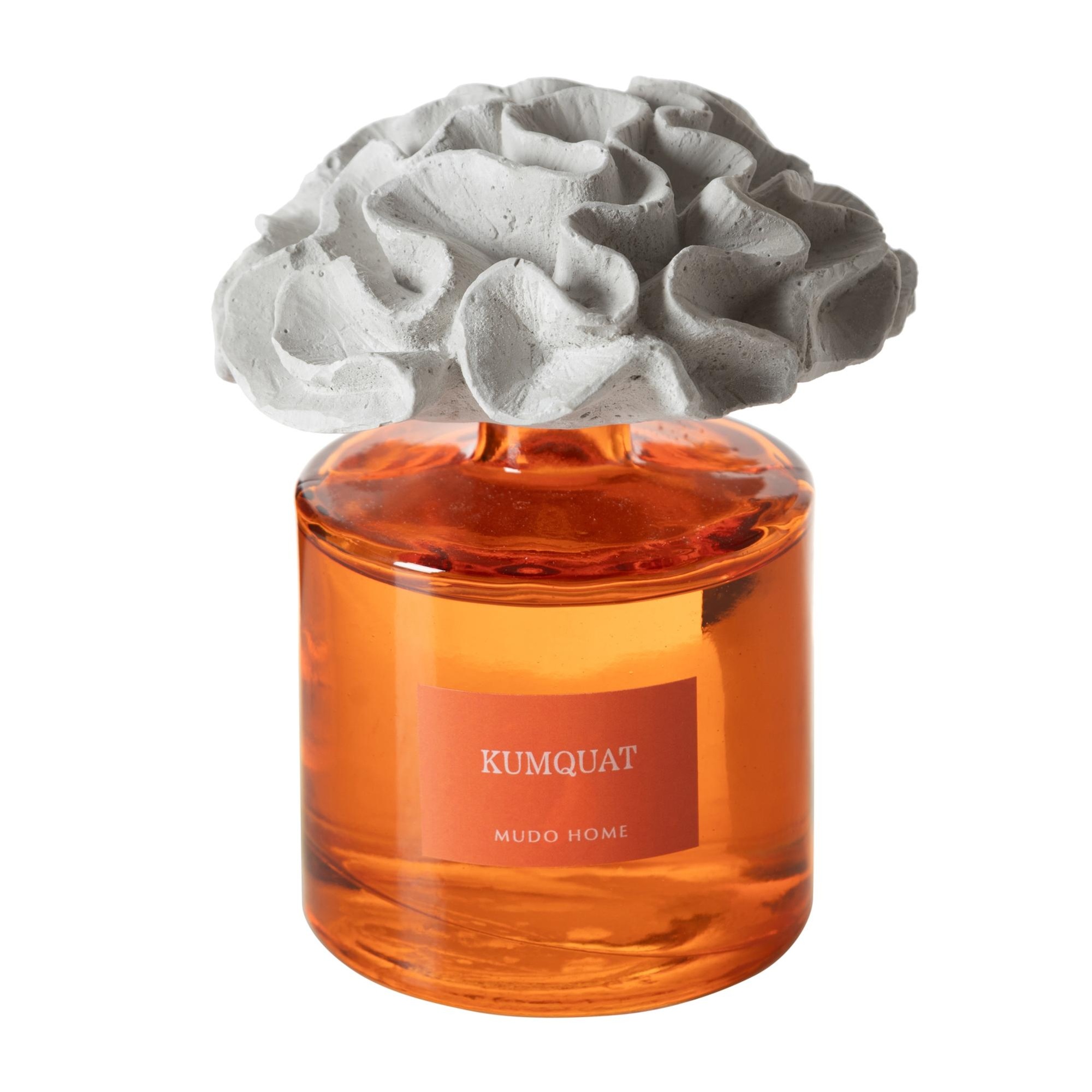 TAŞ MERCAN KUMQUAT ODA KOKUSU 500ML