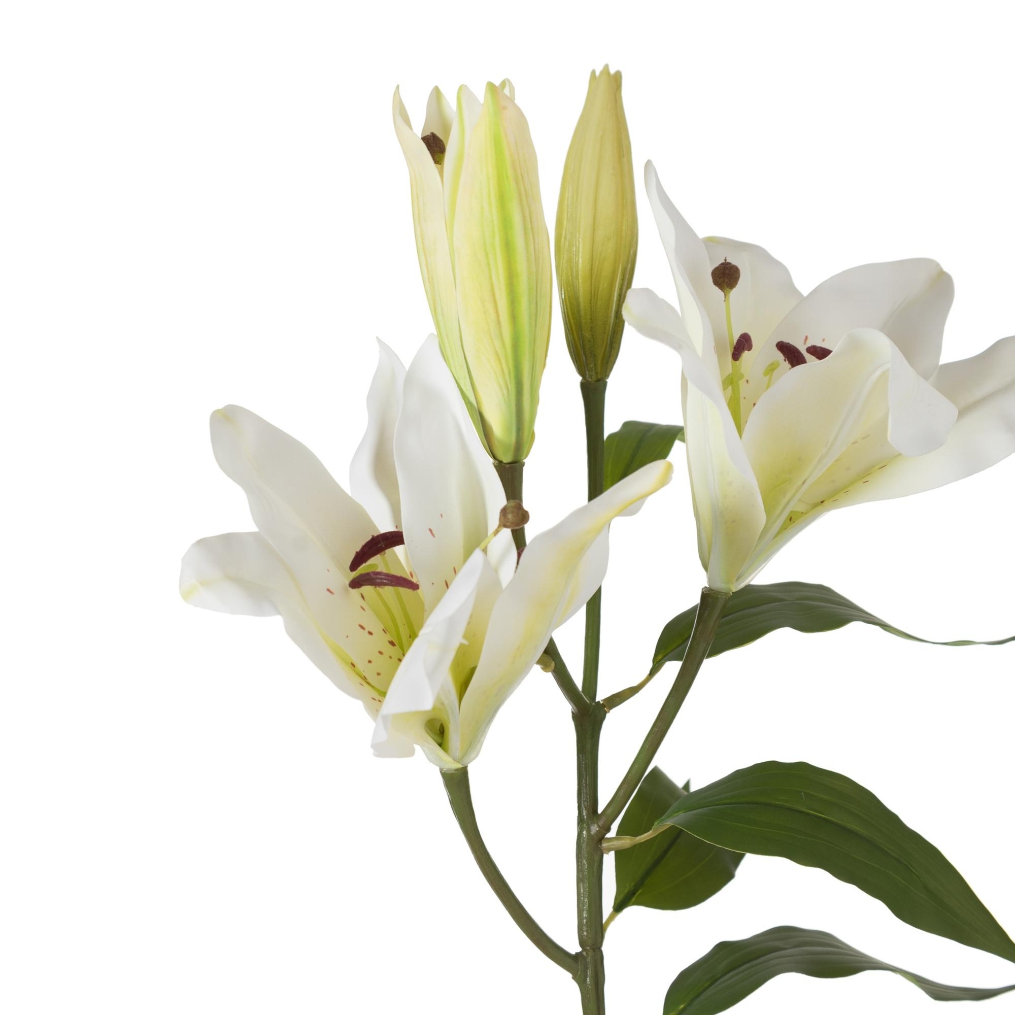 ZARİF ZAMBAK ÇİÇEĞİ BEYAZ 75CM