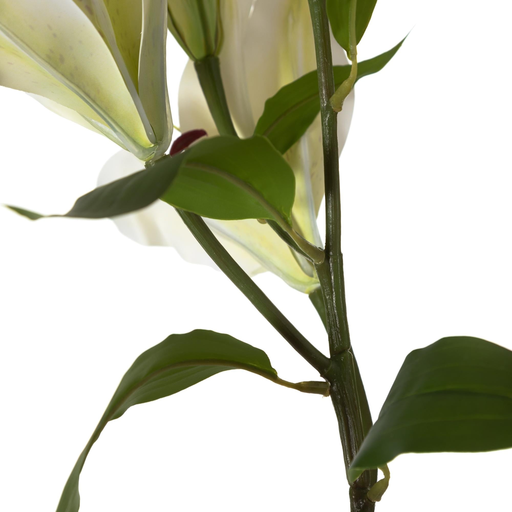 ZARİF ZAMBAK ÇİÇEĞİ BEYAZ 75CM