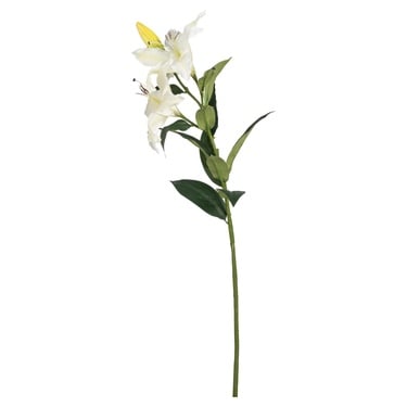  ZAMBAK ÇİÇEĞİ BEYAZ 85CM