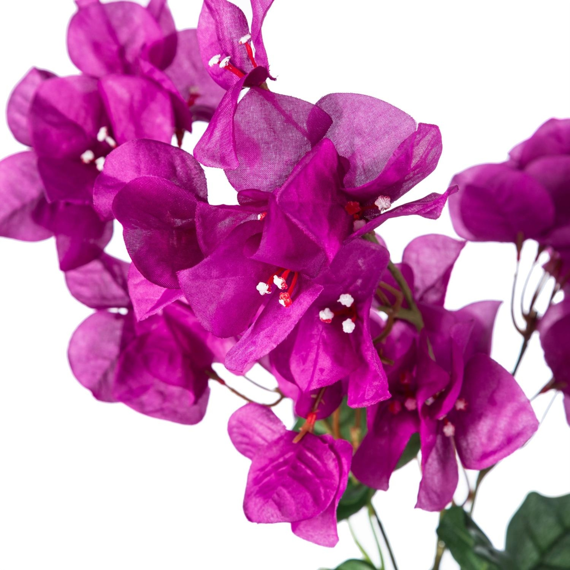 BEGONVİL PEMBE DAL ÇİÇEK 74CM