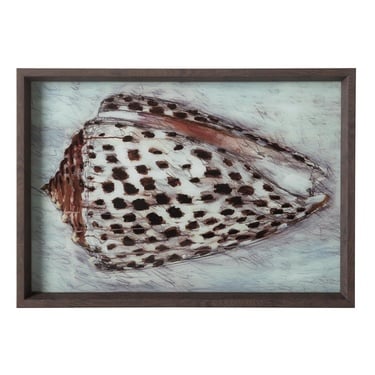  SHELL TEPSİ 31X42CM