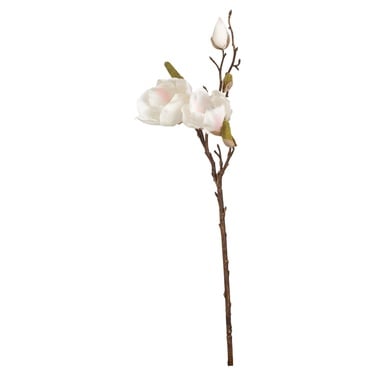  MANOLYA ÇİÇEĞİ BEYAZ 51CM