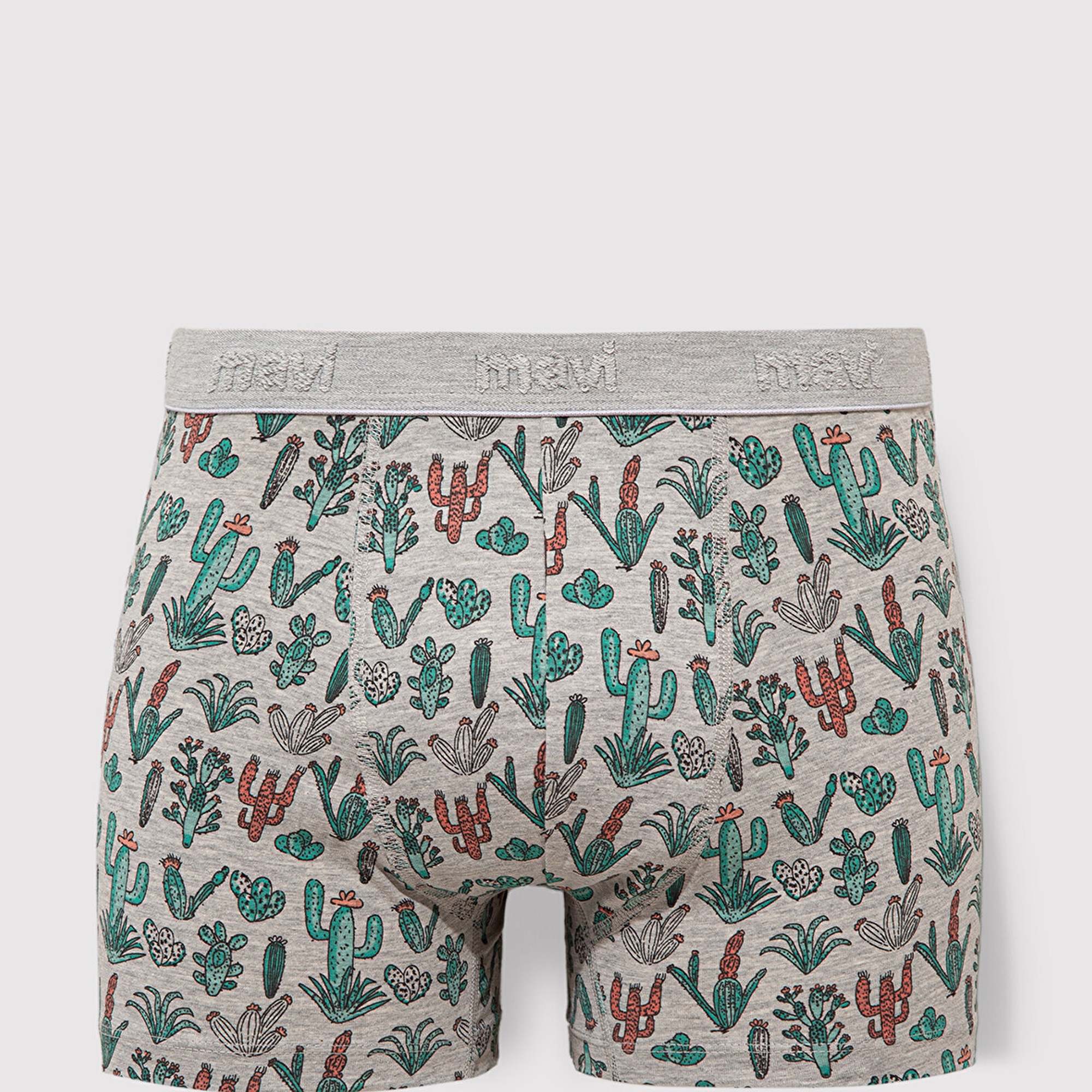 Mavi Kaktüs Baskılı Gri Boxer 091122-23854