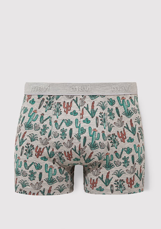  Mavi Kaktüs Baskılı Gri Boxer 091122-23854