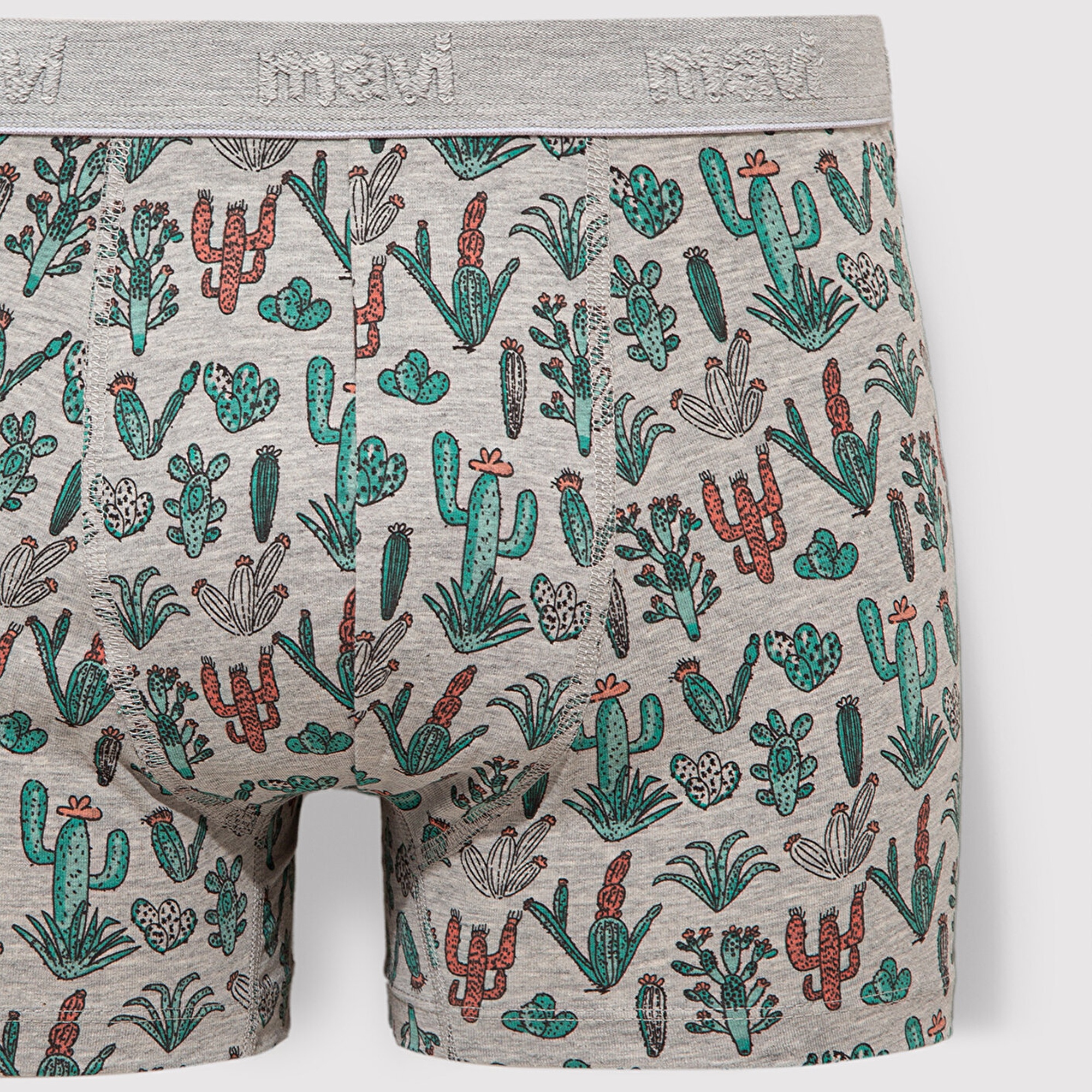 Mavi Kaktüs Baskılı Gri Boxer 091122-23854