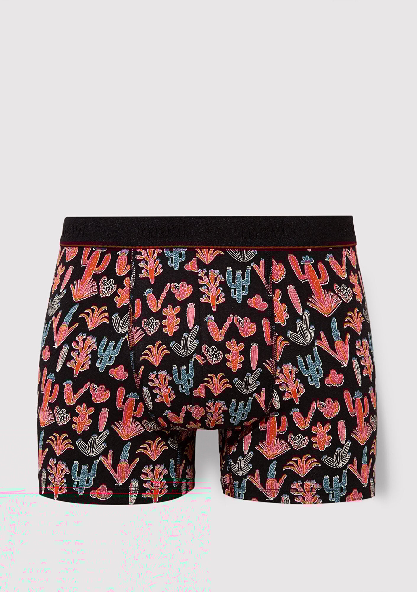  Mavi Kaktüs Baskılı Siyah Boxer 091122-900