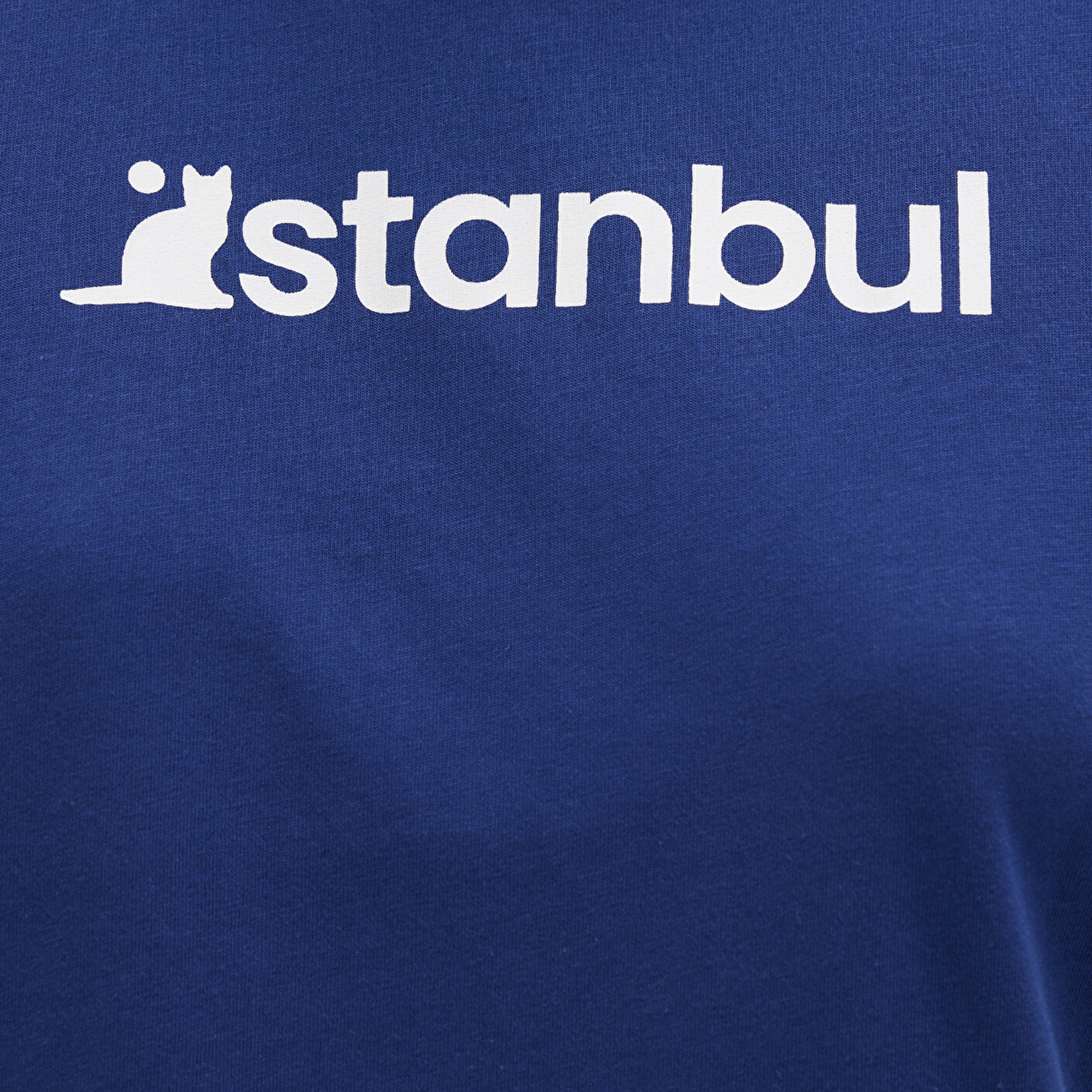 Mavi İstanbul Baskılı Mavi Tişört Semi Slim Fit / Yarı Dar Kesim 1612111-70722