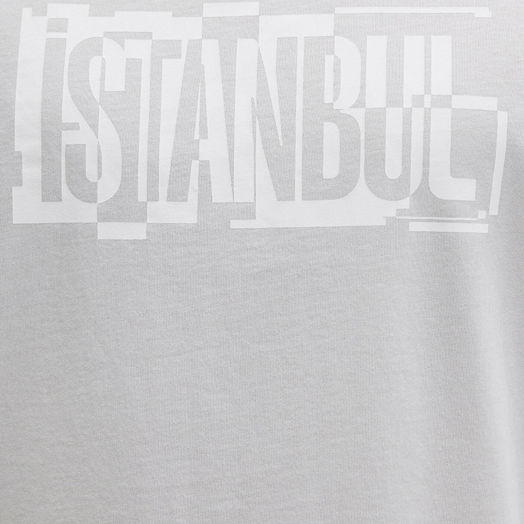 Mavi İstanbul Baskılı Gri Tişört Regular Fit / Normal Kesim 0611789-80618