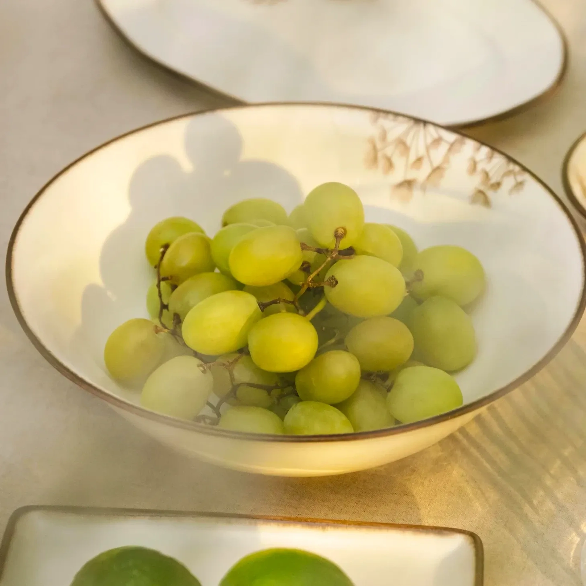 Qua Home Nash Desenli Salata Kasesi 25 cm