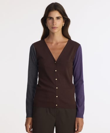  YARGICI V Yaka Renk Bloklu Hırka