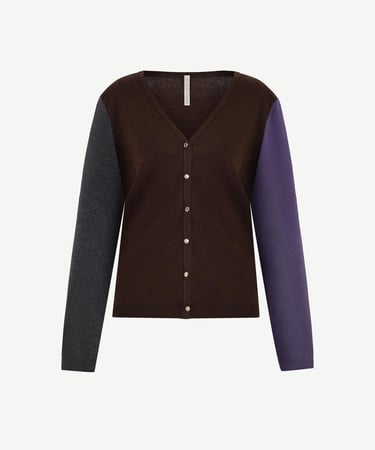  YARGICI V Yaka Renk Bloklu Hırka