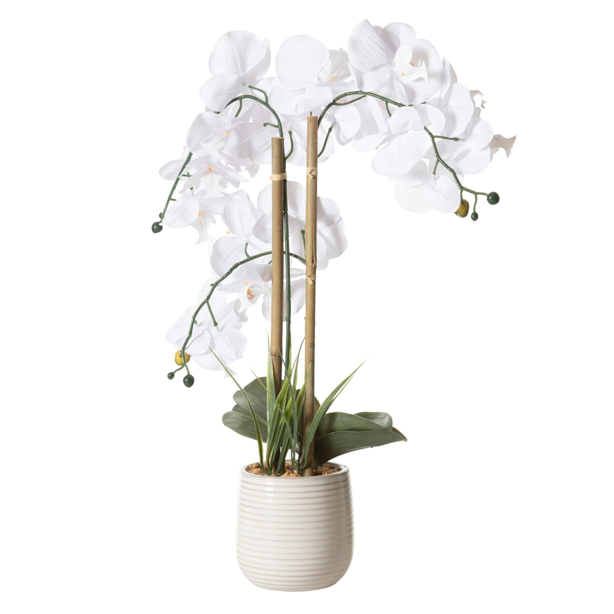 RIVA SAKSILI ORKİDE 60 CM