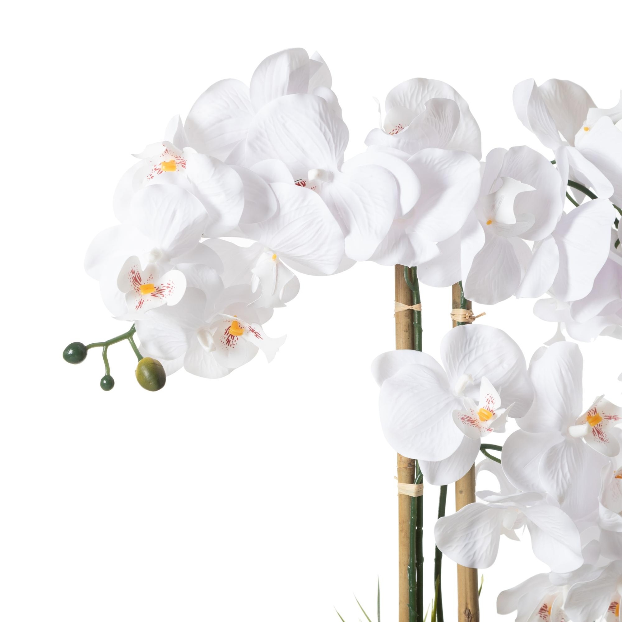 RIVA SAKSILI ORKİDE 60 CM