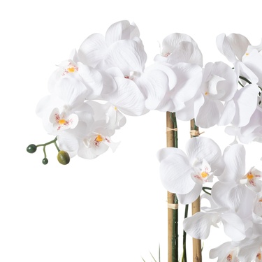  RIVA SAKSILI ORKİDE 60 CM